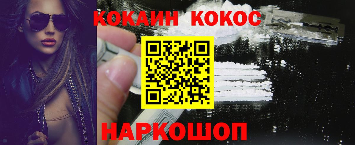 Тара  Кокаин Fish Scale  Вход с VPN 