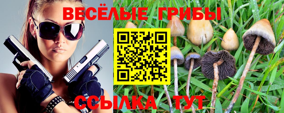 Псилоцибиновые грибы прущие грибы  Псилоцибиновые грибы прущие грибы  купить закладку  Вход с VPN  Тара 