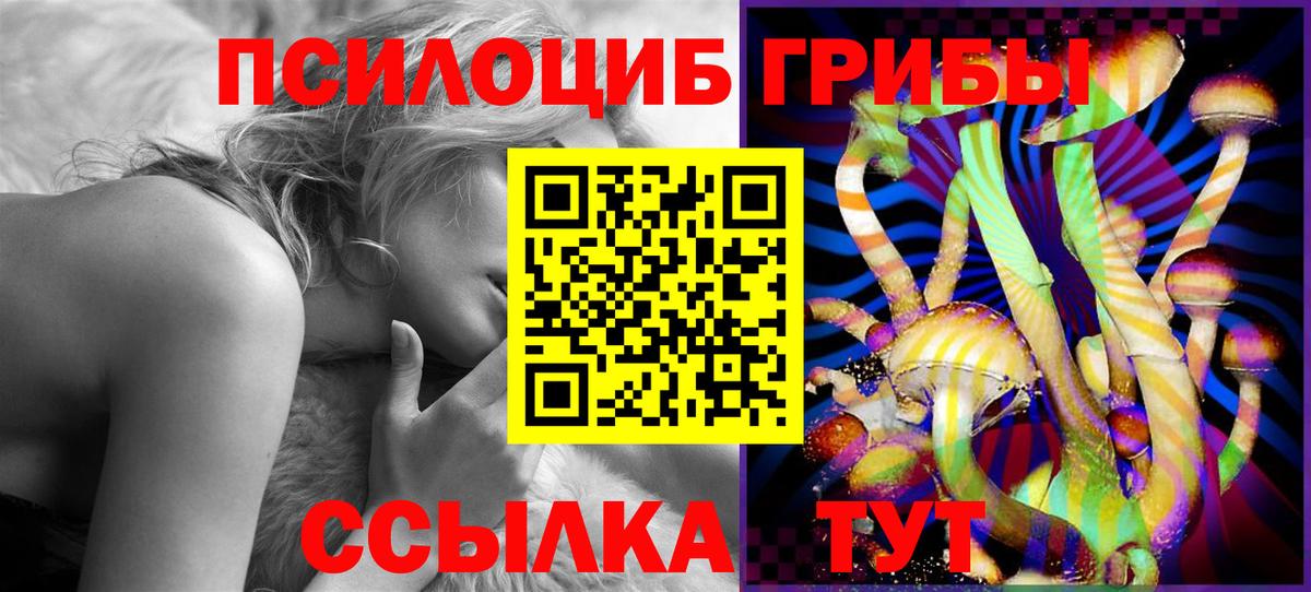 Псилоцибиновые грибы мицелий Тара